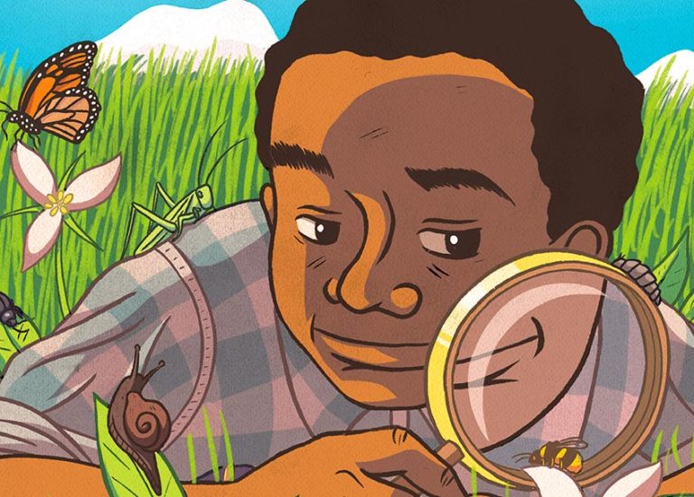 illustrated biographies